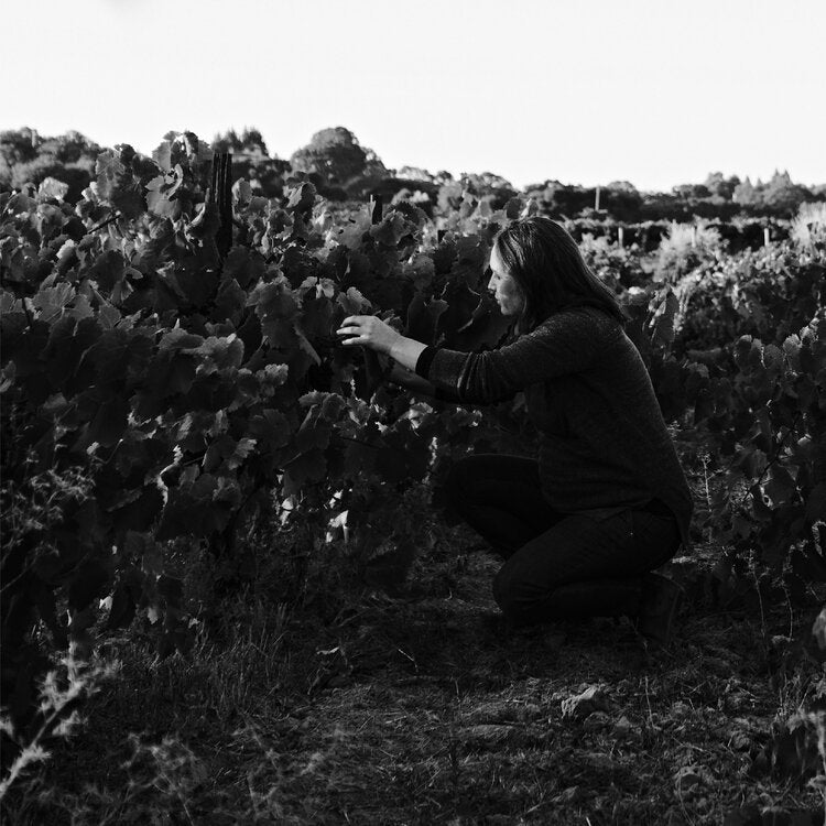 Working with Nature: The Vineyard