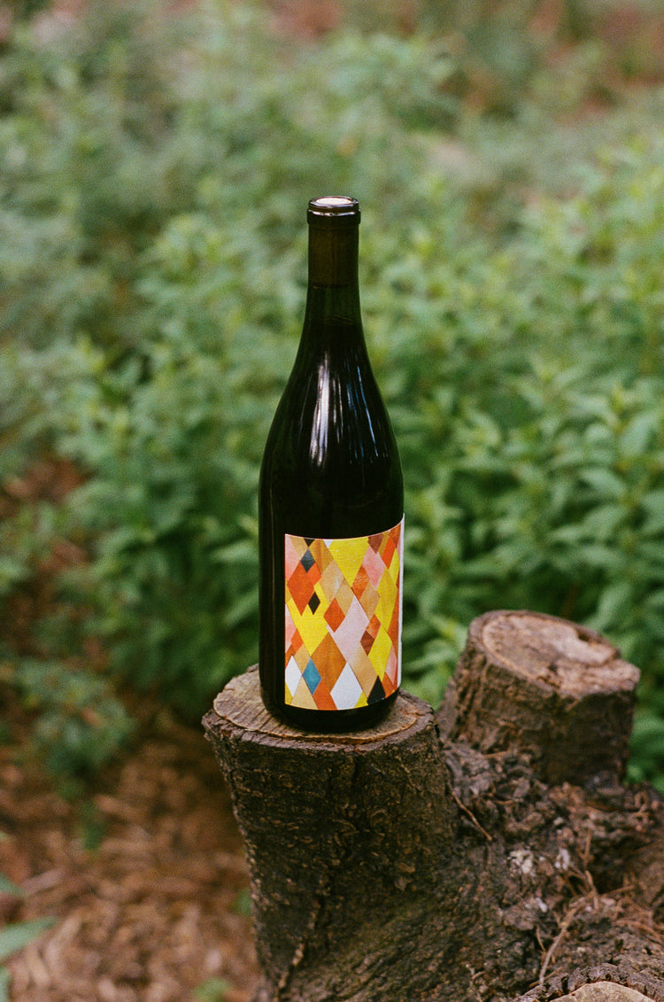 A wine bottle (Martha Stoumen Benchlands) with a colorful, geometric label sits on a tree stump in a lush, green forest setting, evoking a sense of rustic elegance.