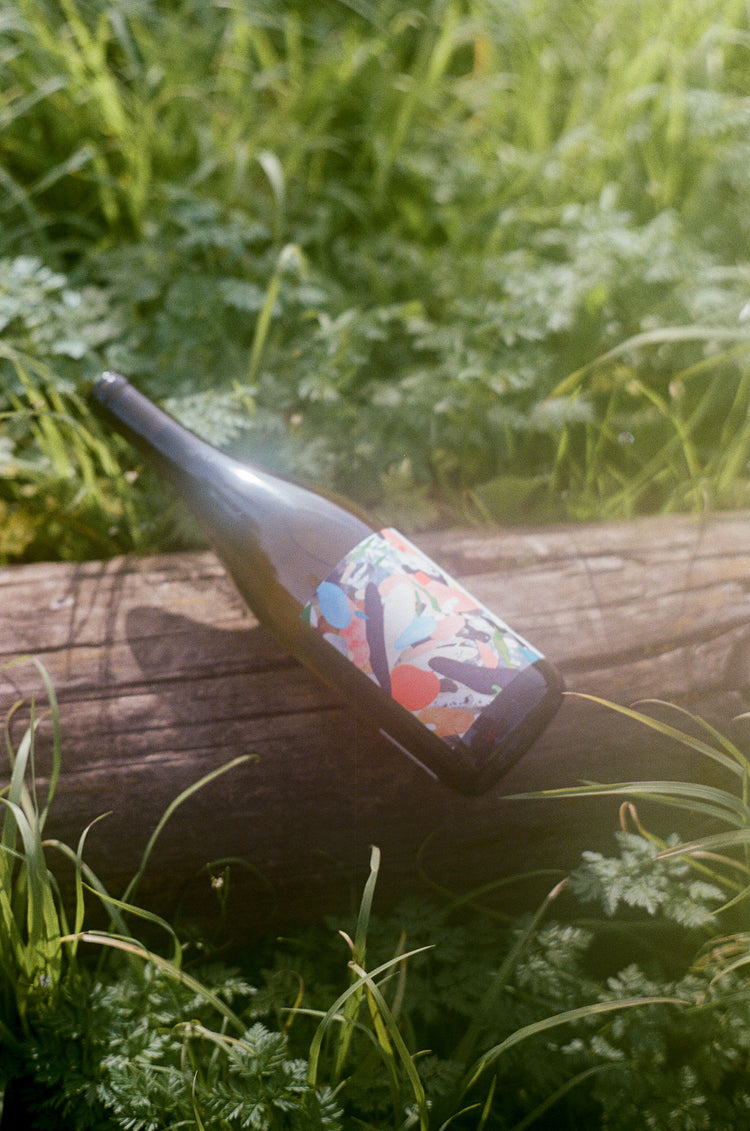 A wine bottle with a colorful abstract label rests on a log amidst lush green grass, evoking a serene, nature-inspired ambiance.