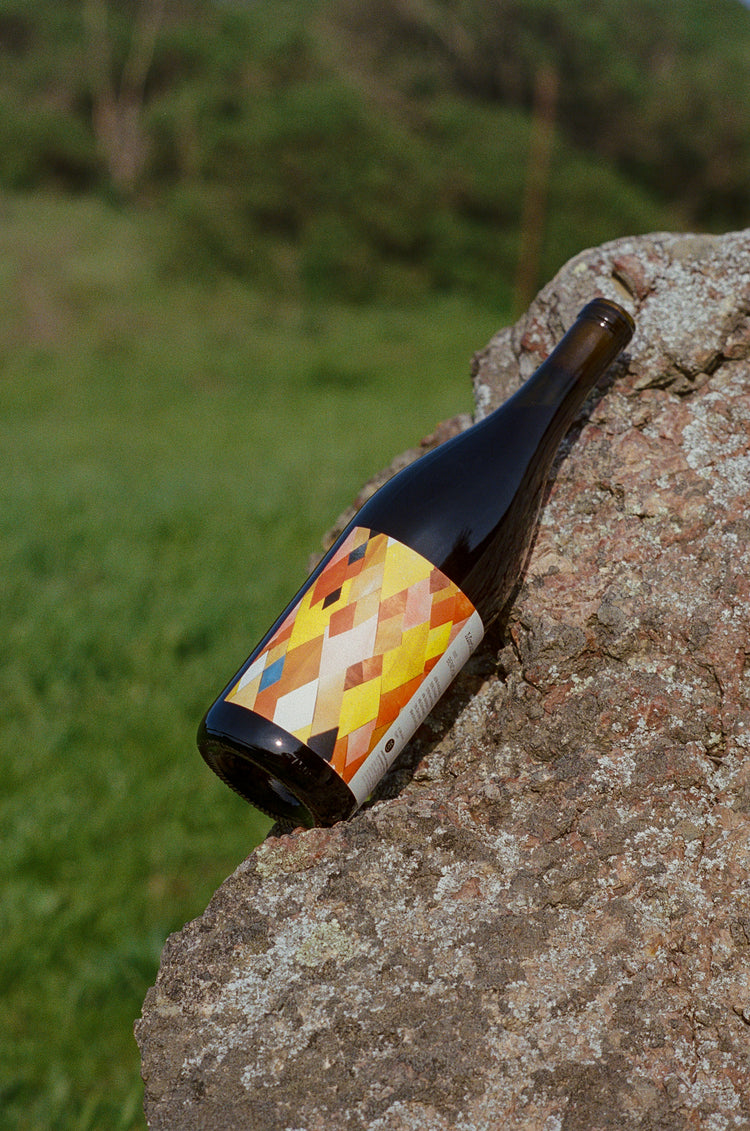 A wine bottle with a vibrant geometric label featuring yellow, orange, and black shapes leans against a textured rock in a grassy landscape.