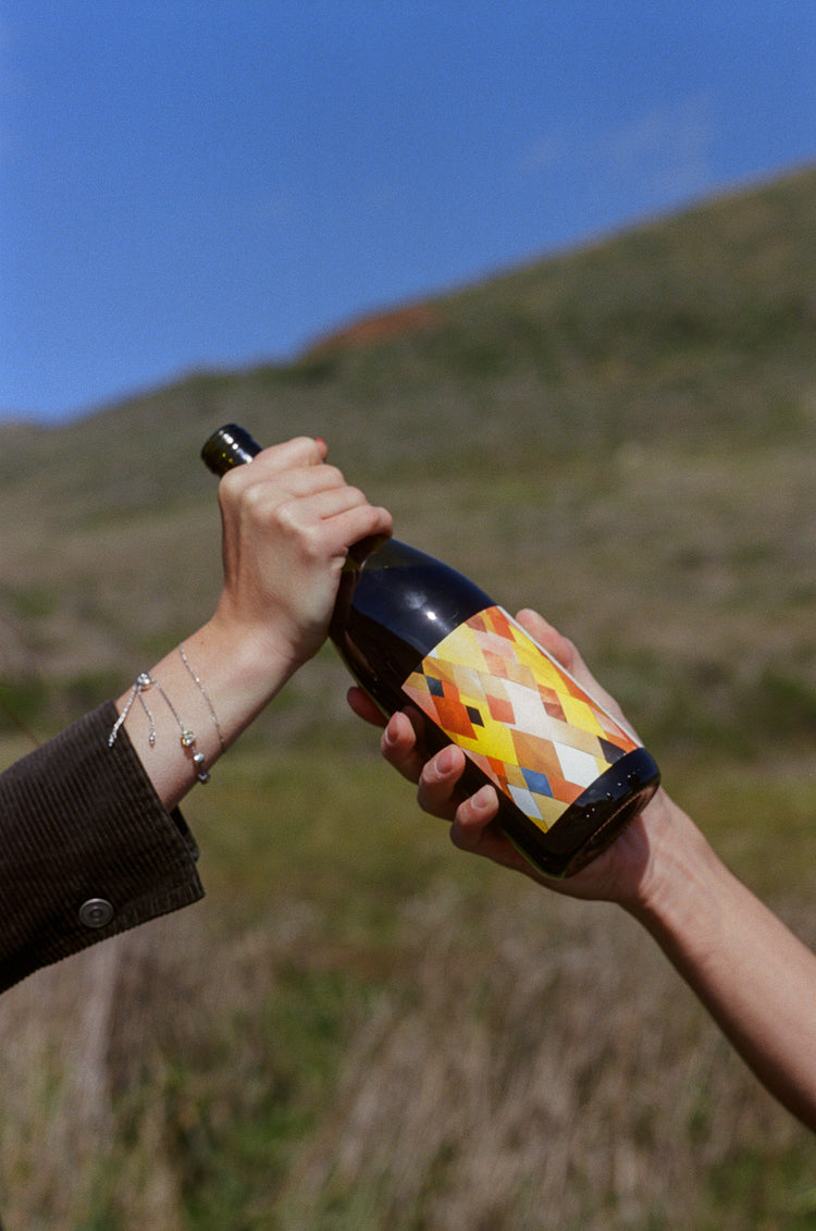 Two hands hold a wine bottle with a colorful, geometric label against a blurry outdoor background of a green hill and blue sky, conveying a cheerful mood.